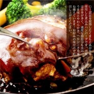 ふるさと納税 熊本県産 GI認証 くまもとあか牛100%使用 くまもとあか牛ハンバーグ 150g×10(益城町)【配送不可地域：離島】【1712452】 熊本県益城町_1