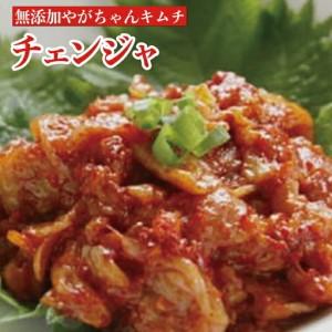 ふるさと納税 「無添加やがちゃんキムチ」白菜キムチ「頂」とチャンジャセット 〈 白菜 キムチ チャンジャ セット 韓国料理 自家製 美味しい ヤン.. 千葉県柏市