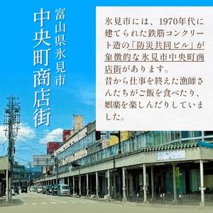 ふるさと納税 氷見市中央町商店街看板キーホルダーガチャ ［ 20個セット ］ キーホルダー ストラップ ガチャガチャ トレーディング 看板 富山県.. 富山県氷見市_2