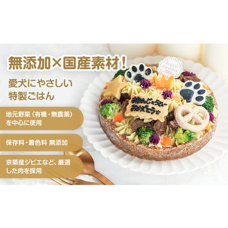 ふるさと納税 犬用バースデーケーキ ごはん 4号サイズ 直径12cm ごはんタイプ イワシ BUN'S KITCHEN 送料無料 犬用ケーキ 誕生日ケーキ 福岡県田川市の画像