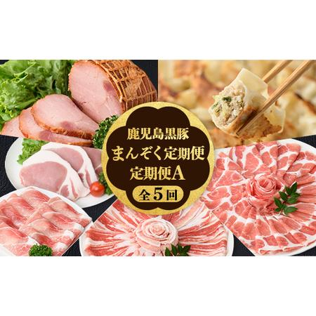 ふるさと納税 [D02006][定期便・全5回]かごしま黒豚まんぞく定期便A (月1回×5ヶ月) 鹿児島 九州産 国産 肉 豚肉 黒豚 焼豚 肩ロース .. 鹿児島県肝付町
