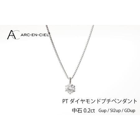 ふるさと納税 アルカンシェル プラチナ ダイヤ プチペンダント(計0.2ct) 大阪府泉佐野市