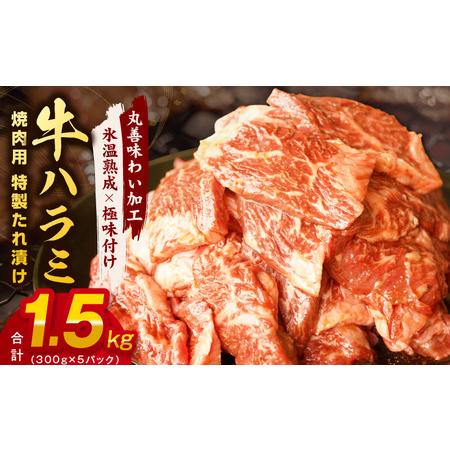 ふるさと納税 [氷温熟成×特製ダレ]牛肉 ハラミ 1.5kg(300×5)牛肉 焼肉 焼くだけ はらみ 小分け BBQ やきにく 肉厚 人気 訳あり .. 大阪府泉佐野市