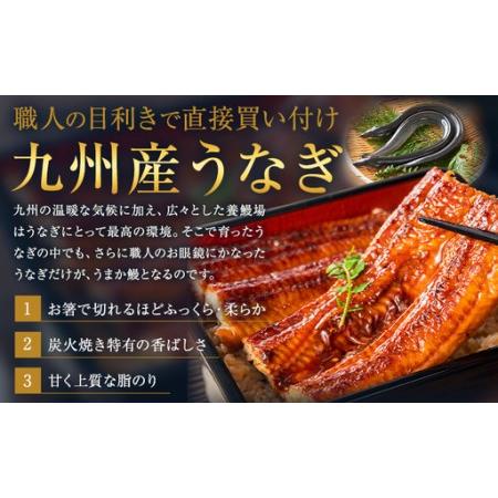 ふるさと納税 【6ヶ月定期便】ウナギ 大小 4尾  国産 鰻 無意味さ風呂敷き包み おすすめ ウナギの蒲焼 《お申込み翌月からさし出し》 ふるさとのうぜい 特上 簡.. 熊本県御船町