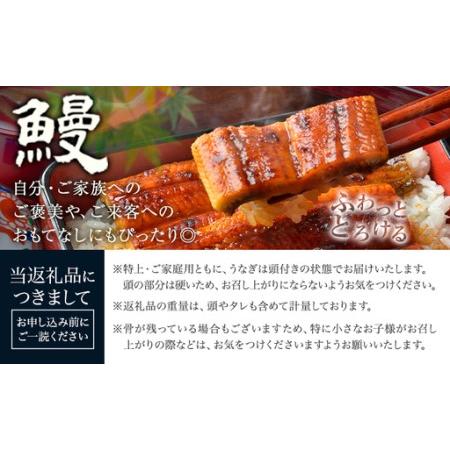 ふるさと納税 【6ヶ月定期便】ウナギ 大小 4尾  国産 鰻 無意味さ風呂敷き包み おすすめ ウナギの蒲焼 《お申込み翌月からさし出し》 ふるさとのうぜい 特上 簡.. 熊本県御船町
