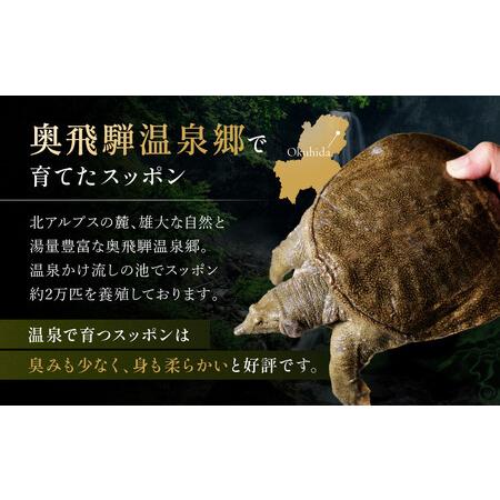 ふるさと納税 さばきすっぽん｜ 食品  美容 健康 コラーゲン 栄養 伝統 日本料理   焼岳すっぽん HE006 岐阜県高山市の画像
