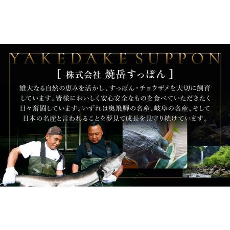 ふるさと納税 さばきすっぽん｜ 食品  美容 健康 コラーゲン 栄養 伝統 日本料理   焼岳すっぽん HE006 岐阜県高山市の画像