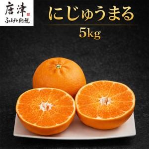 ふるさと納税 『先行予約』[令和9年3月上旬より順次発送]◎にじゅうまる◎ 5kg 佐賀県産[高級柑橘みかん] 佐賀県唐津市