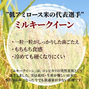 ふるさと納税 米 令和5年 ミルキークイーン 10kg (5kg×2袋) 広島県安芸高田市産 白米 精米 広島県安芸高田市｜furunavi｜02