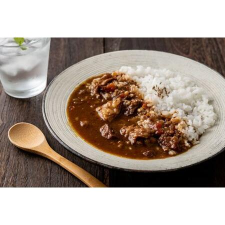 ふるさと納税 本格スパイスカレー「ヤドカリー」レトルトカレー 黒毛和牛すじ 20食セット_OS197-0002 大阪府大阪市の画像