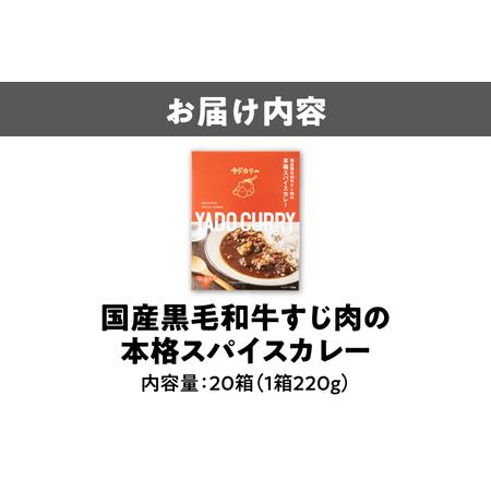 ふるさと納税 本格スパイスカレー「ヤドカリー」レトルトカレー 黒毛和牛すじ 20食セット_OS197-0002 大阪府大阪市の画像