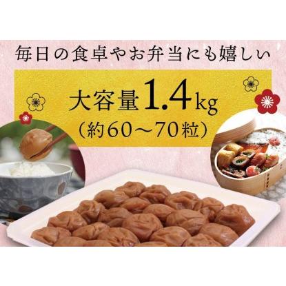 ふるさと納税 最高級紀州南高梅大粒　はちみつ梅干し 1.4kg【ご家庭用】【inm100】 和歌山県北山村｜furunavi｜02