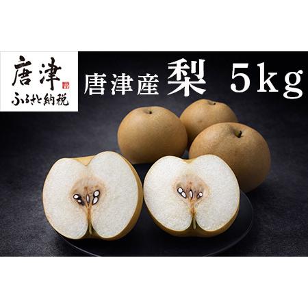 ふるさと納税 『先行予約』[令和8年7月上旬より順次発送]唐津産 梨 5kg[旬の味覚]果物 フルーツ 幸水 豊水 佐賀県唐津市