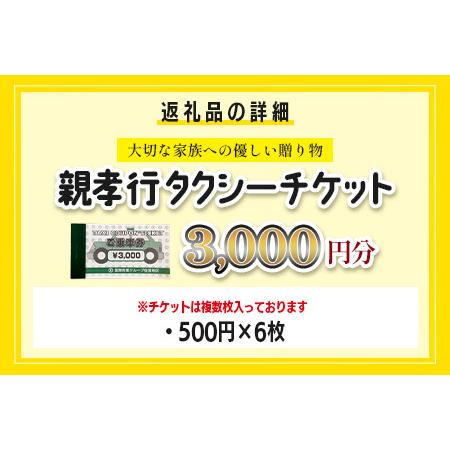 ふるさと納税 親孝行 タクシーチケット3,000円分 再耕庵タクシー |ふるさと納税 [有効期限2年間]タクシー券 利用券 観光タクシー 親孝行 通院 買.. 佐賀県鹿島市_4