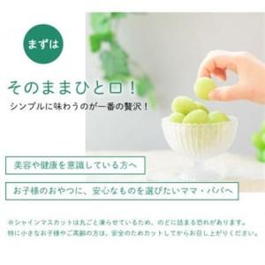 ふるさと納税 冷凍フルーツ【甲斐の実】食べ比べセット シャインマスカット 桃 山梨 無添加スイーツ 100g×8袋【配送不可地域：離島】【1608361】 山梨県の画像