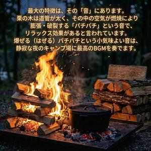 栗の木薪n 栗【クリ】の薪になります? 個人的に
