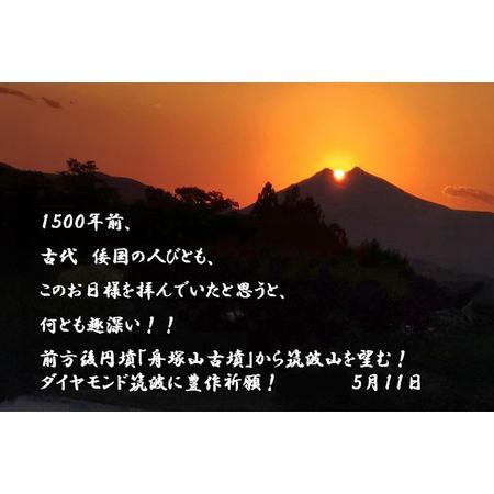 ふるさと納税 【玄米30kg⇒五分搗き米】筑波山麓厳選米【特A】令和7年産コシヒカリ（恋瀬姫の舞） B07-035 茨城県石岡市の画像