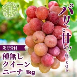 ふるさと納税 種無しクイーンニーナ1kg (2房) 数量限定[2026年9月上旬以降順次発送]安井農園 ぶどう ブドウ 葡萄 ピオーネ フルーツ 果物 くだ.. 広島県世羅町