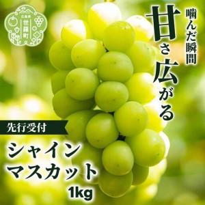 ふるさと納税 シャインマスカット1kg (2房) [2026年10月上旬以降順次発送]安井農園 ぶどう ブドウ 葡萄 ピオーネ フルーツ 果物 くだもの 産地.. 広島県世羅町