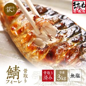 ふるさと納税 訳あり 骨取り サバ 切り身 (無塩) 3kg [001-c322] 福井県敦賀市