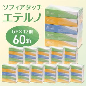 ふるさと納税 0012-107-01 マスコー製紙 ソフィアタッチ エテルノ ティッシュペーパー 150組×5箱×12パック (60箱) 静岡県富士宮市