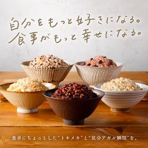 ふるさと納税 【金賞健康米】金のいぶき 玄米 パックご飯 120g×48個 胚芽2.9倍 GABA ゆめぴりか 大阪府松原市_2