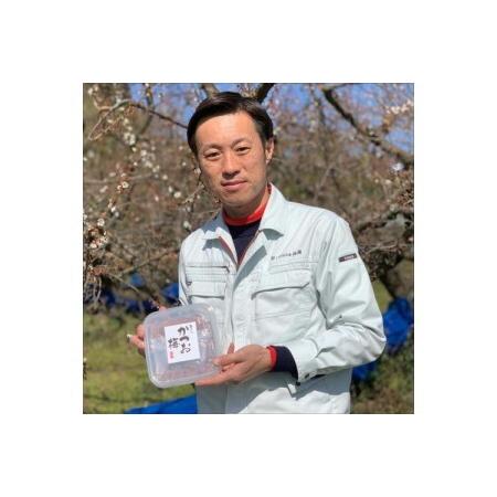 ふるさと納税 【0529-4】紀州南高梅 はちみつ梅500g、かつお梅500g 食べ比べセット 和歌山県御坊市の画像