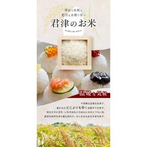 ふるさと納税 精米 令和7年産 君津市小山野産 粒すけ 10kg | あかかげ農園 千葉県君津市_2