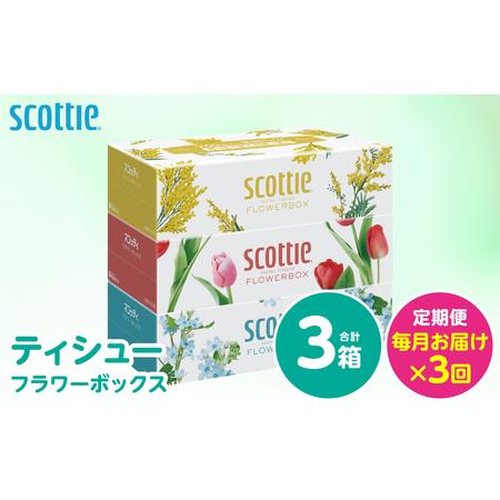 ふるさと納税 [定期便3回][毎月お届け][スコッティ] ティシュー フラワーボックス 250組 3箱 計9箱 ティッシュ 日用品 生活必需品 消耗品 .. 熊本県八代市
