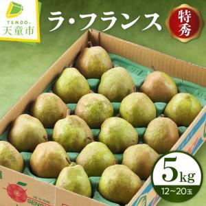 ふるさと納税 ラ・フランス 5kg 果物 洋梨 山形 ラフランス 山形県天童市