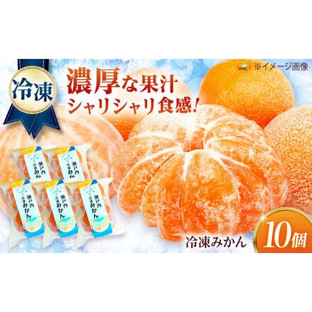 ふるさと納税 みかん 田尻産 冷凍みかん 10個 [BAGS002] みかん 広島県福山市