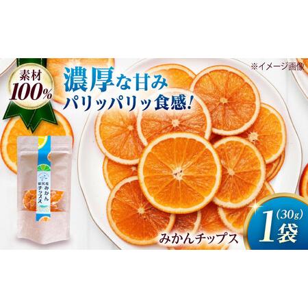 ふるさと納税 みかん 田尻産 みかんチップス 1袋 [BAGS003] みかん 広島県福山市