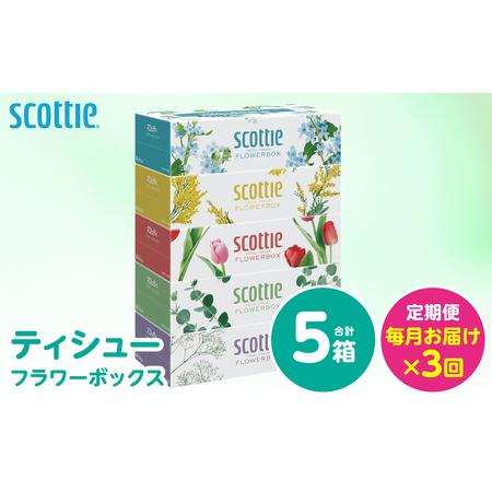 ふるさと納税 [定期便3回][毎月お届け][スコッティ] ティシュー フラワーボックス 250組 5箱 計15箱 ティッシュ 日用品 生活必需品 消耗品.. 熊本県八代市