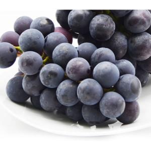 ふるさと納税 【ご家庭用】山形のピオーネ優品約2kg(2~6房)【8月お届け】【令和8年産先行予約】FS25-152 山形県山形市_1