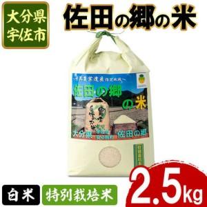 ふるさと納税 [令和7年産]佐田の郷の米 特別栽培米(2.5kg)お米 白米 ごはん ヒノヒカリ ひのひかり ブランド米 常温 常温保存[111701100][.. 大分県宇佐市