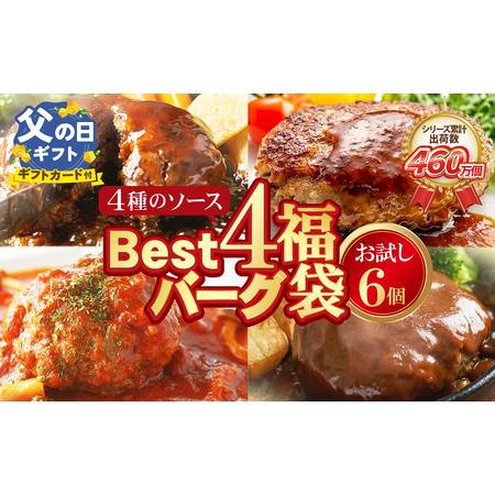ふるさと納税 W61-35R02 [父の日]Best4バーグ 4種 6個 セット ハンバーグ 福岡県福智町