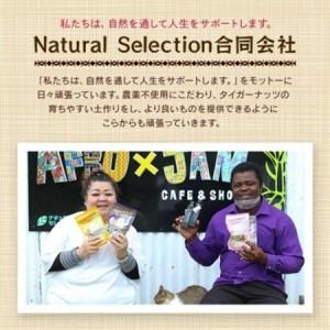 ふるさと納税 グルテンフリー クッキー カラギ味 国産タイガーナッツ 120g×10個【1713411】 沖縄県国頭村_3