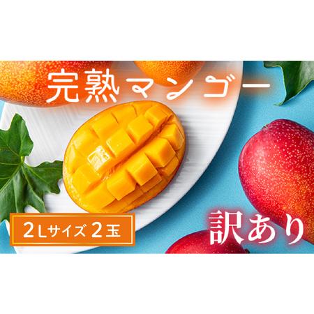 ふるさと納税 [訳あり]完熟マンゴー 2L×2玉(パック)濃厚 宮崎 果物 フルーツ 贈答 ギフト 甘い 先行受付 送料無料 宮崎県綾町