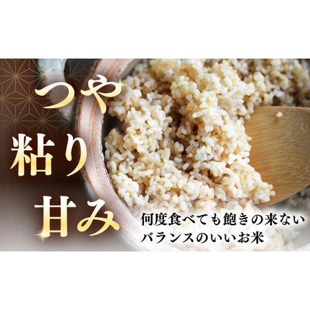 ふるさと納税 【全3回定期便】【玄米】ななつぼし さくら米 10kg 特A 北海道[AXAB080] 北海道厚真町の画像