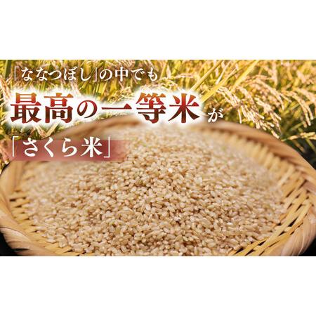 ふるさと納税 【全3回定期便】【玄米】ななつぼし さくら米 10kg 特A 北海道[AXAB080] 北海道厚真町の画像