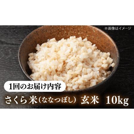 ふるさと納税 【全3回定期便】【玄米】ななつぼし さくら米 10kg 特A 北海道[AXAB080] 北海道厚真町の画像