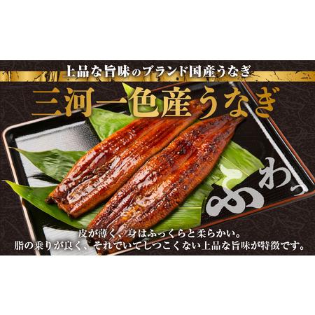 ふるさと納税 三河一色産うなぎ蒲焼 5尾（約800g）・O069 愛知県西尾市_1