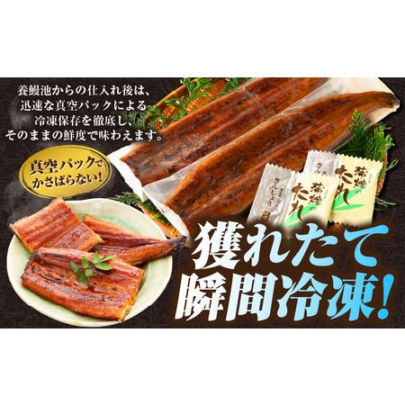 ふるさと納税 三河一色産うなぎ蒲焼 5尾（約800g）・O069 愛知県西尾市_3