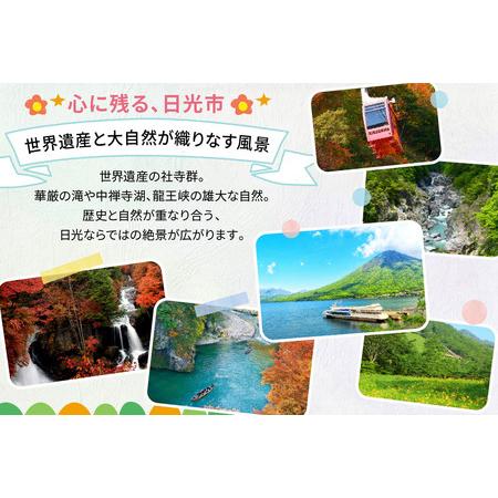 ふるさと納税 HISふるさと納税宿泊予約専用クーポン (栃木県日光市) 2万千円分｜旅行 観光 温泉 鬼怒川 川治 湯西川 高級 宿泊 ホテル クーポン .. 栃木県日光市の画像