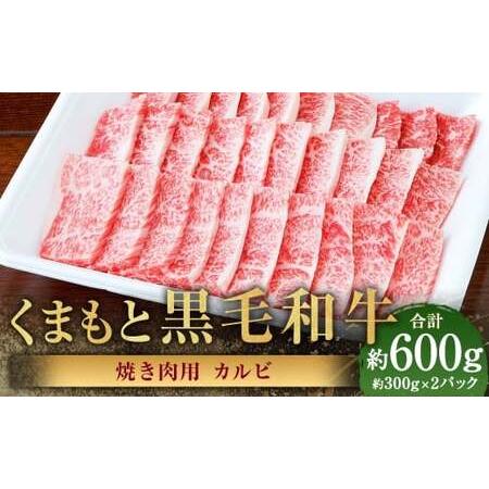 ふるさと納税 くまもと黒毛和牛 焼き肉用カルビ 計約600g(約300g×2パック) 黒毛和牛 和牛 牛肉 牛 肉 にく ニク お肉 焼肉 焼き肉 カ.. 熊本県あさぎり町