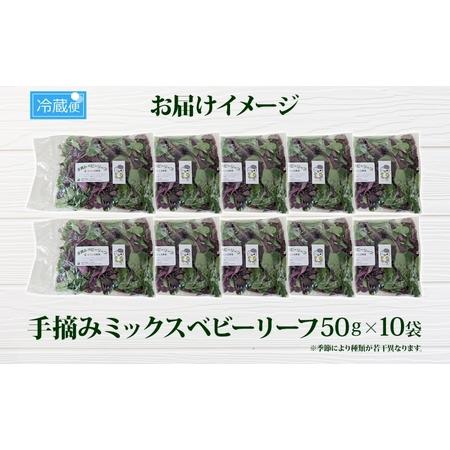 ふるさと納税 手摘み ミックスベビーリーフ 50g 10袋 ベビーリーフ 野菜 ヤサイ 旬の野菜 葉物野菜 生野菜 ハーブ 緑 彩り 柔らかい 手軽 サラダ.. 埼玉県蓮田市_3