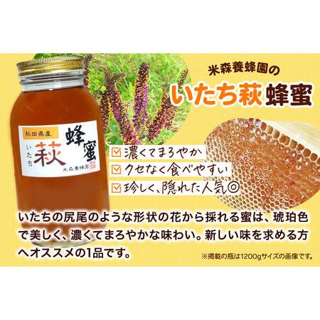 ふるさと納税 はちみつ いたち萩蜂蜜 国産 1200g×1本 秋田県産100％ 秋田白神の天然蜂蜜 米森養蜂園 [はちみつ 天然 いたち萩蜂蜜 1200g1本.. 秋田県八峰町の画像