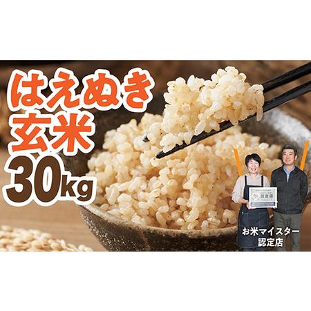 ふるさと納税 令和7年産 はえぬき 玄米 30kg 山形県最上町 : ふるなび