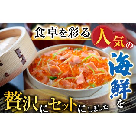 ふるさと納税 いくら醤油漬け100g×1P、紅鮭切身5切×2P A-70028 北海道根室市の画像