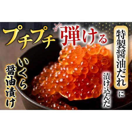 ふるさと納税 いくら醤油漬け100g×1P、紅鮭切身5切×2P A-70028 北海道根室市の画像
